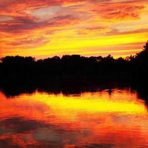 Meet your Posher, Jeff